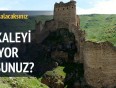 Türkiy’deki kaleler